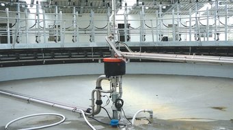 Dairy Farming Conveyer